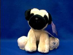 pug shining star