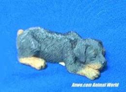 rottweiler figurine sandicast snoozer sz117