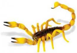 scorpion toy miniature