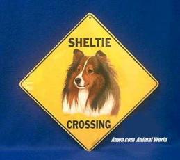 sheltie shetland sheepdog crossing sign