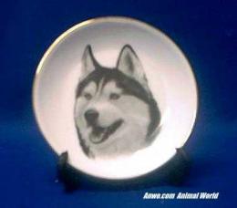 siberian husky plate porcelain