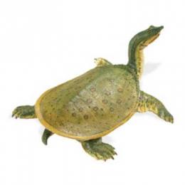 soft shell turtle toy miniature