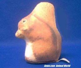 squirrel-paperweight-doorstop.JPG