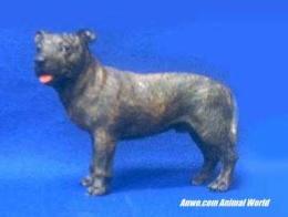 staffordshire-bull-terrier-figurine.JPG