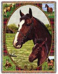 thoroghbred-horse-blanket-throw-pc.jpg