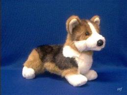 welsh corgi plush stuffed animal toy tri color