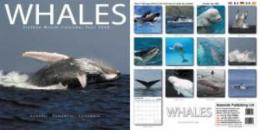 whales_2009.jpg