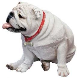 white bulldog figurine large lifesize ls916