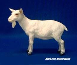 white goat figurine statue