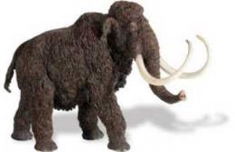 woolly mammoth toy plastic large miniature 