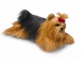 yorkie stuffed animal plush classic yorkshire terrier 
