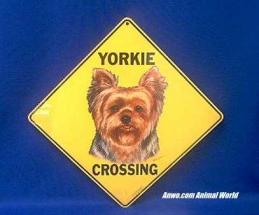 yorkshire terrier crossing sign yorkie