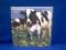 cow_holstein_2007.JPG
