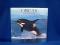 orca_2008.JPG