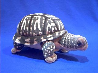turtle stuffed animal plush