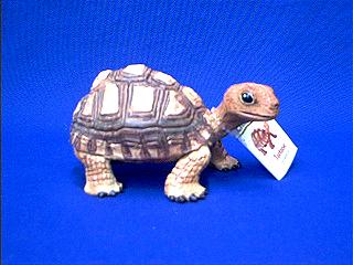 turtle toy tortoise