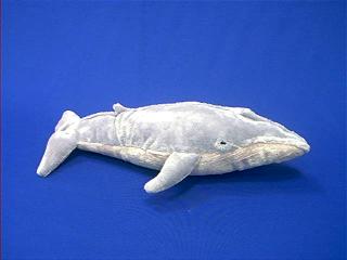 Stuffed Blue Whale