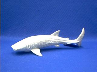 whale shark toy