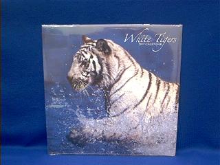 white tiger calendar