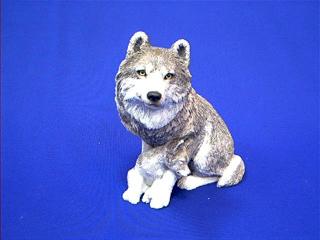 wolf sandicast