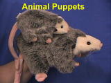 animal puppets