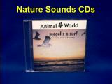 nature sounds CDs