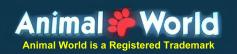 animal world