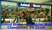 animal world