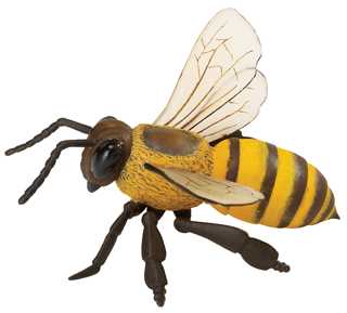 Bee Toy Large Replica Honey Bee