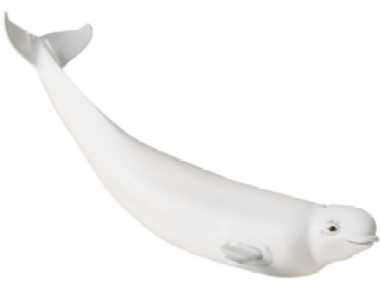 beluga whale figurine