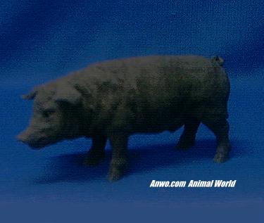 Black Pig Figurine Statue at Animal World®