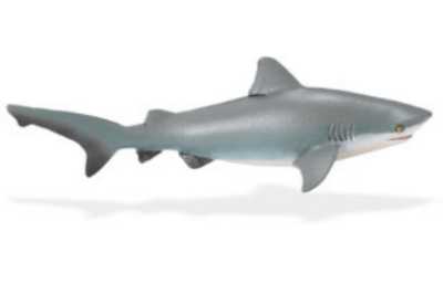 Bull Shark Toy Miniature Replica at Anwo Animal World®
