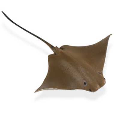 sting ray soft toy