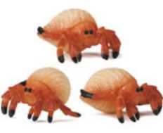 Hermit Crab Toy Mini Good Luck Miniature 1