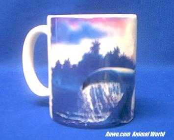 Whale Tail Coffee Cup, Creature Cups