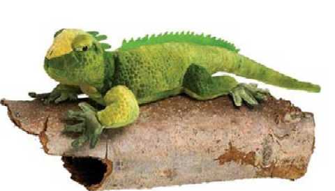 iguana plush