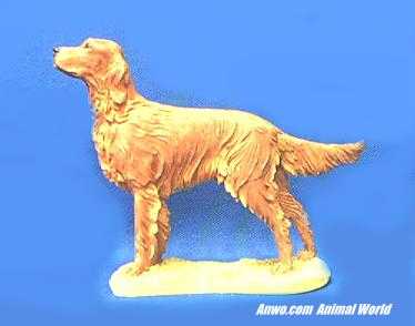irish setter stuffed animal
