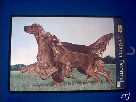 irish setter cushion