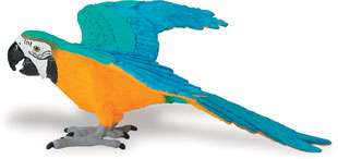 Blue on sale macaw toy