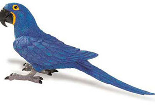 hyacinth macaw toys