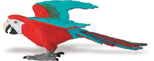 scarlet macaw toy