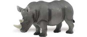 rhinoceros 5 review