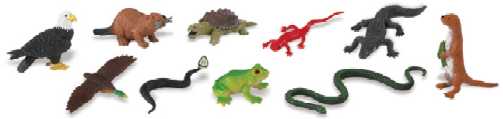 River Animals Toy Tube Assortment at Animal World®