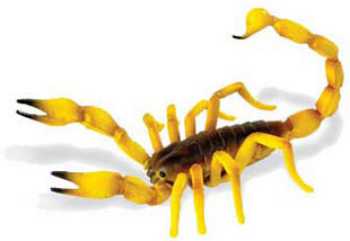 plastic scorpion toy