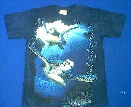 https://anwo.com/store/media/sea-turtle-shirt-pair.JPG