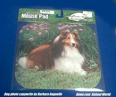 9.5 x 8 in. Two Sable Shelties Mouse Pad, Hot Pad or Trivet, 1