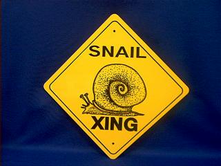 Snail Crossing Sign USA at Animal WorldÂ®