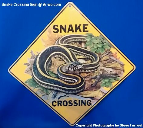 Snake Crossing Sign at Anwo.com Animal World®