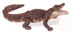 alligator toy miniature