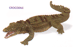 crocodile toy